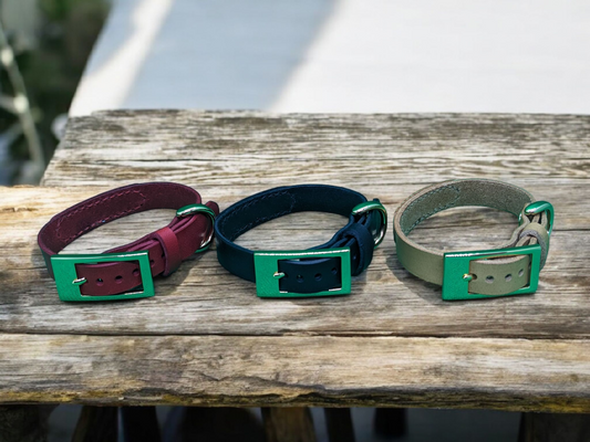 pet_key首輪（ｃ金具専用）角形バックル_本金カラー