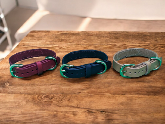 pet_key首輪（ａ金具専用）丸形バックル_本金カラー