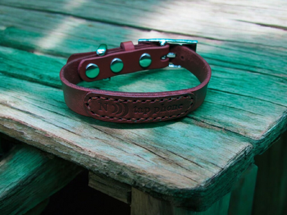 pet_key首輪交換用（d金具専用）角形バックル_ニッケルカラー