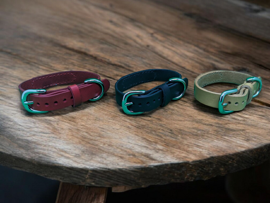 pet_key首輪（ｂ金具専用）丸形バックル_ニッケルカラー