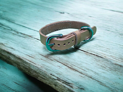 pet_key首輪交換用（ｂ金具専用）丸形バックル_ニッケルカラー